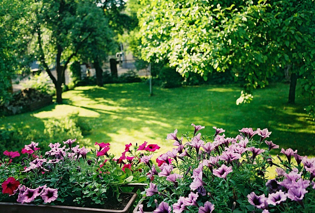 利沃夫有花园的房源