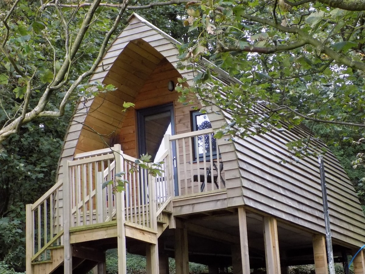 Luxury Woodland Glamping Pod Heaves Wood - Tahn