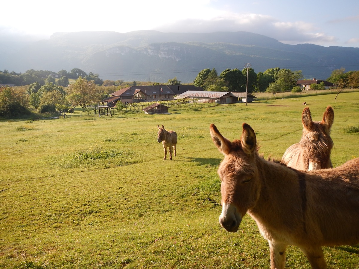 2间客房都很舒适，面向Vercors