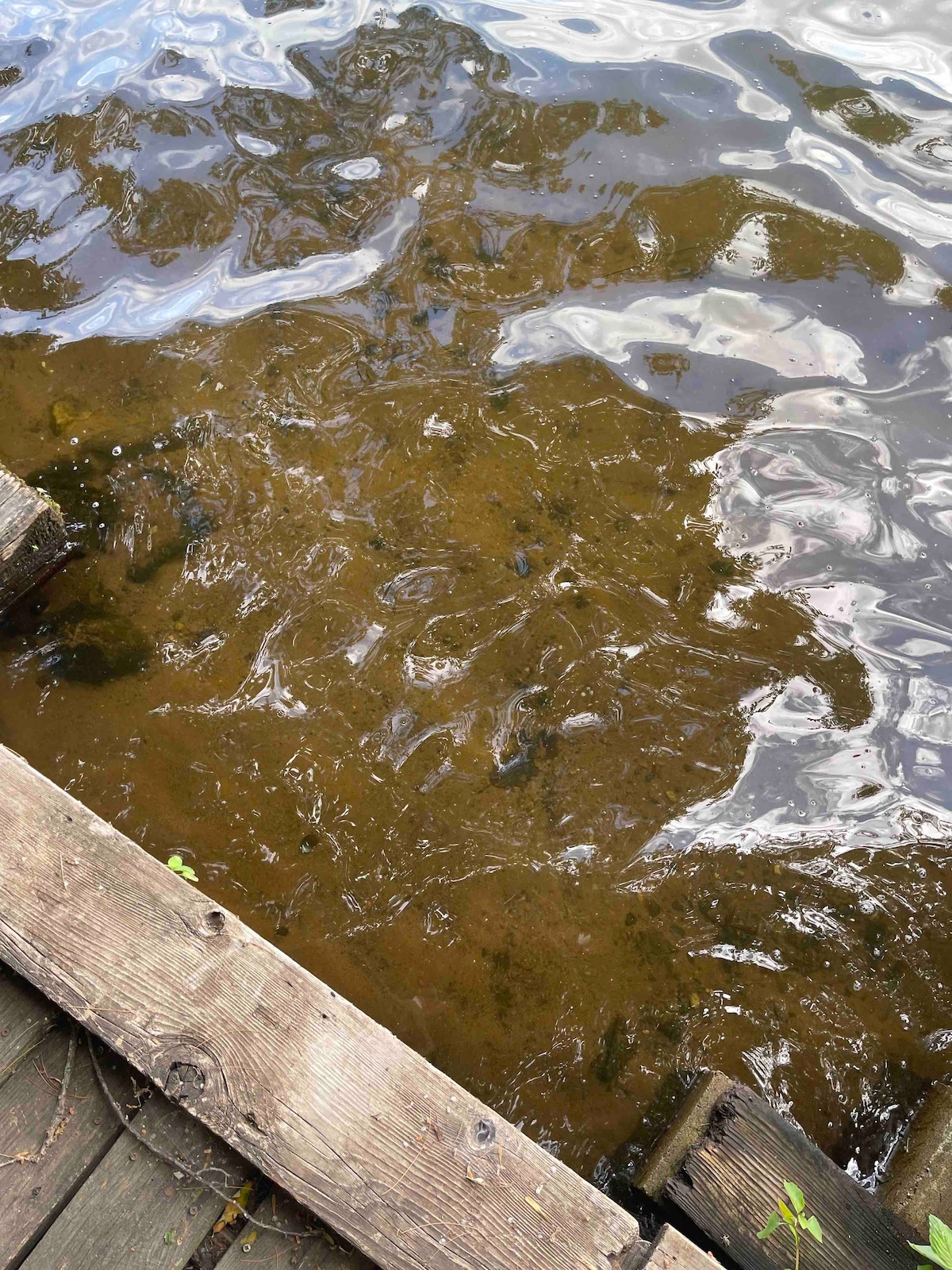 稻田湖畔的湖畔房源：宽敞的4卧室