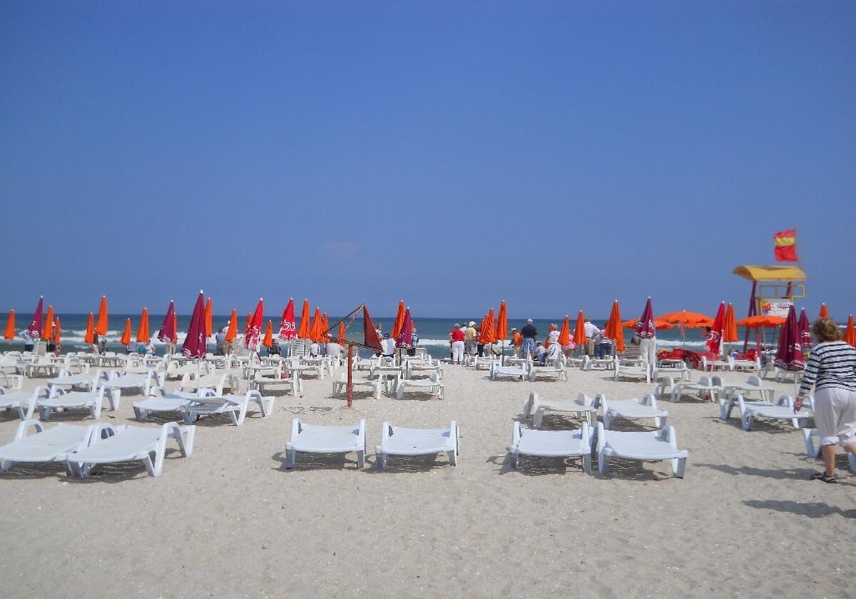 Arlequin Mamaia Apartments Holiday Beach Nightlife