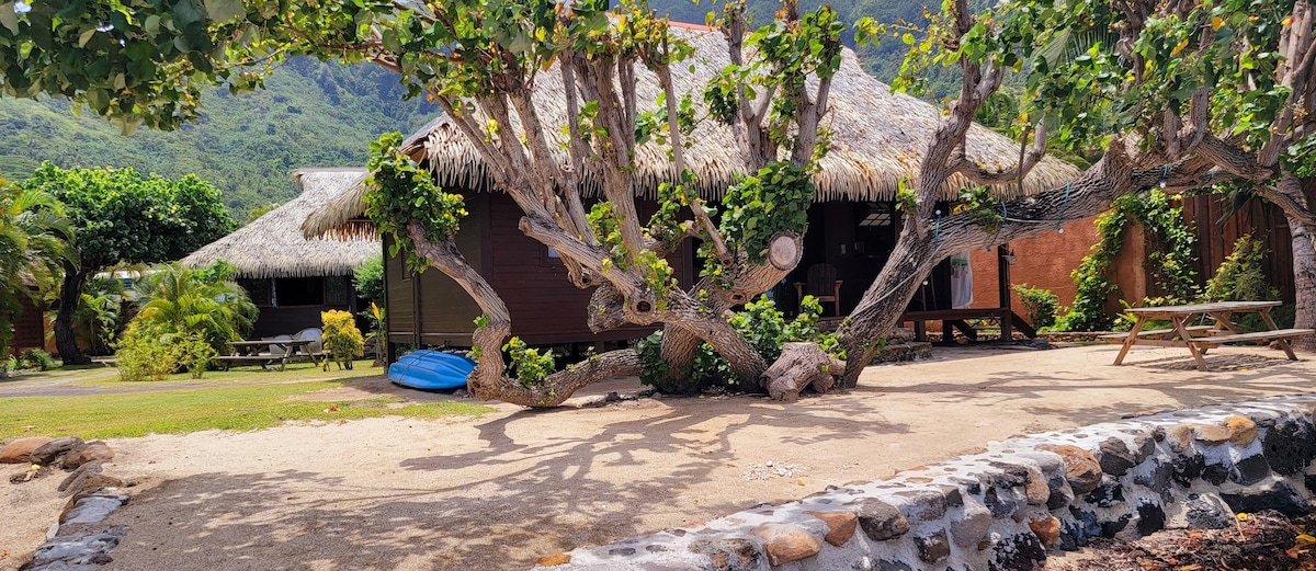 Bungalow "RAHITI" bord de mer , MOOREA