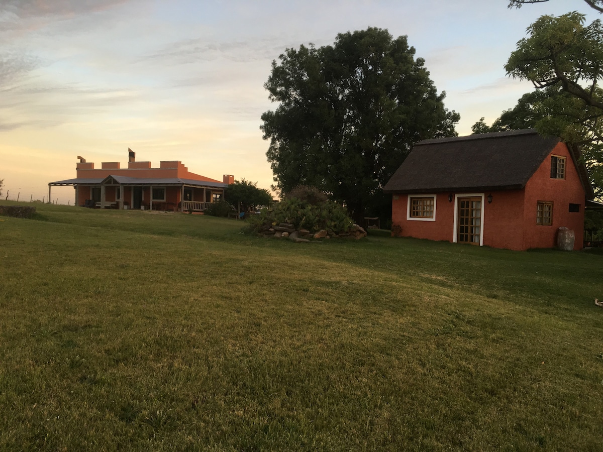 Peaceful Country Cottage - 20 min from the beach!