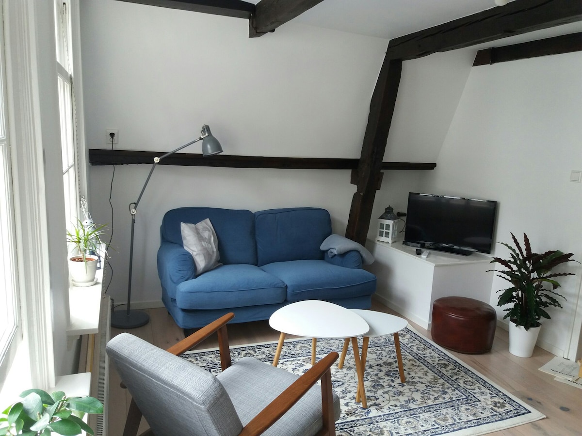 莱顿（ Leiden ）舒适的城市公寓