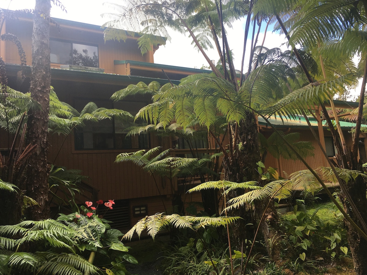 翡翠雨林度假屋……您的大自然之路！