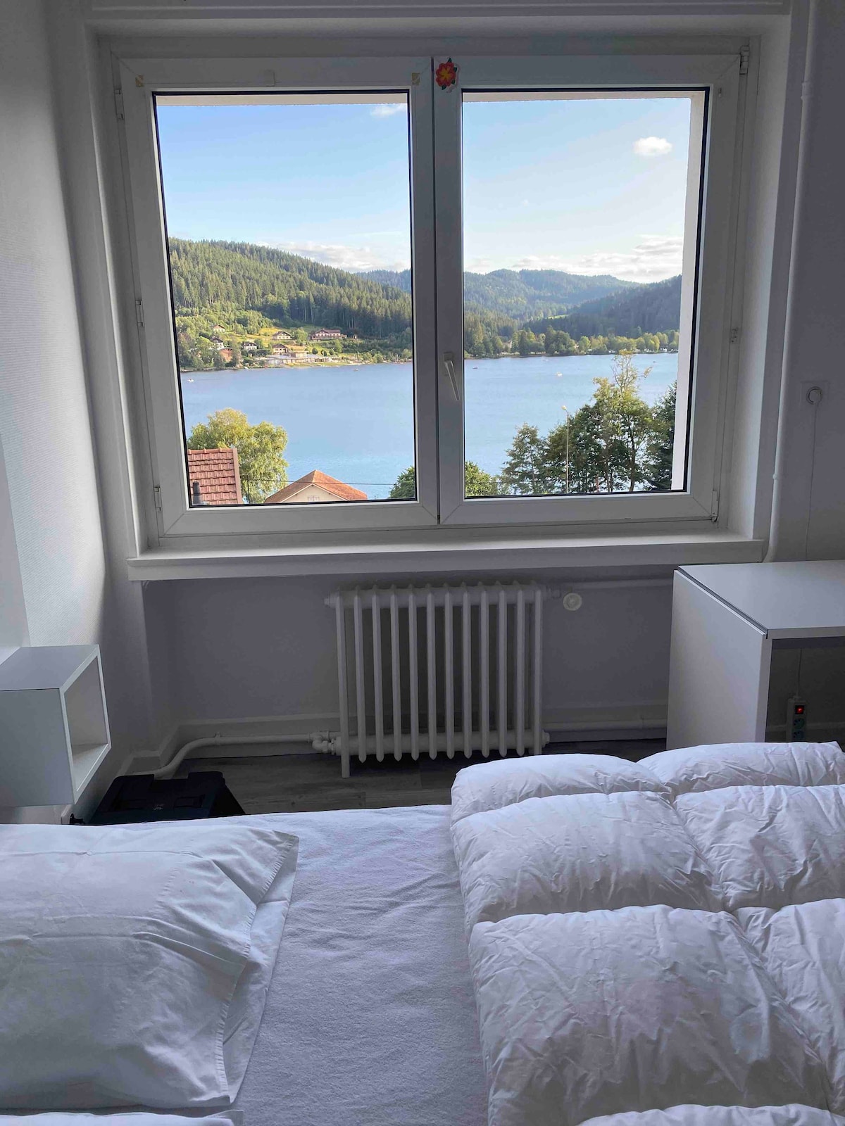 极佳的公寓，可欣赏非凡的湖景