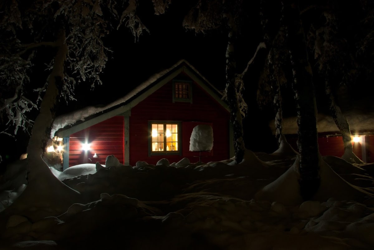 位于Myrkdalen的舒适小屋