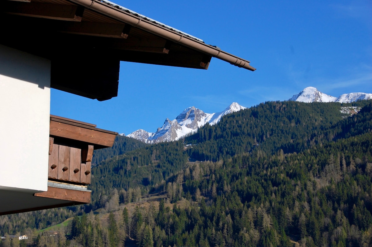 Landhaus Bergner Alm - Edelweiss Spitze Apartment