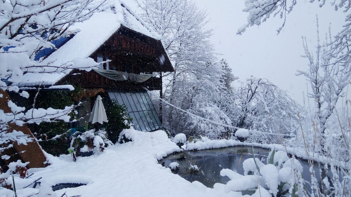 wohnSPYCHER 1 BLOCKHAUS CHALET 1738