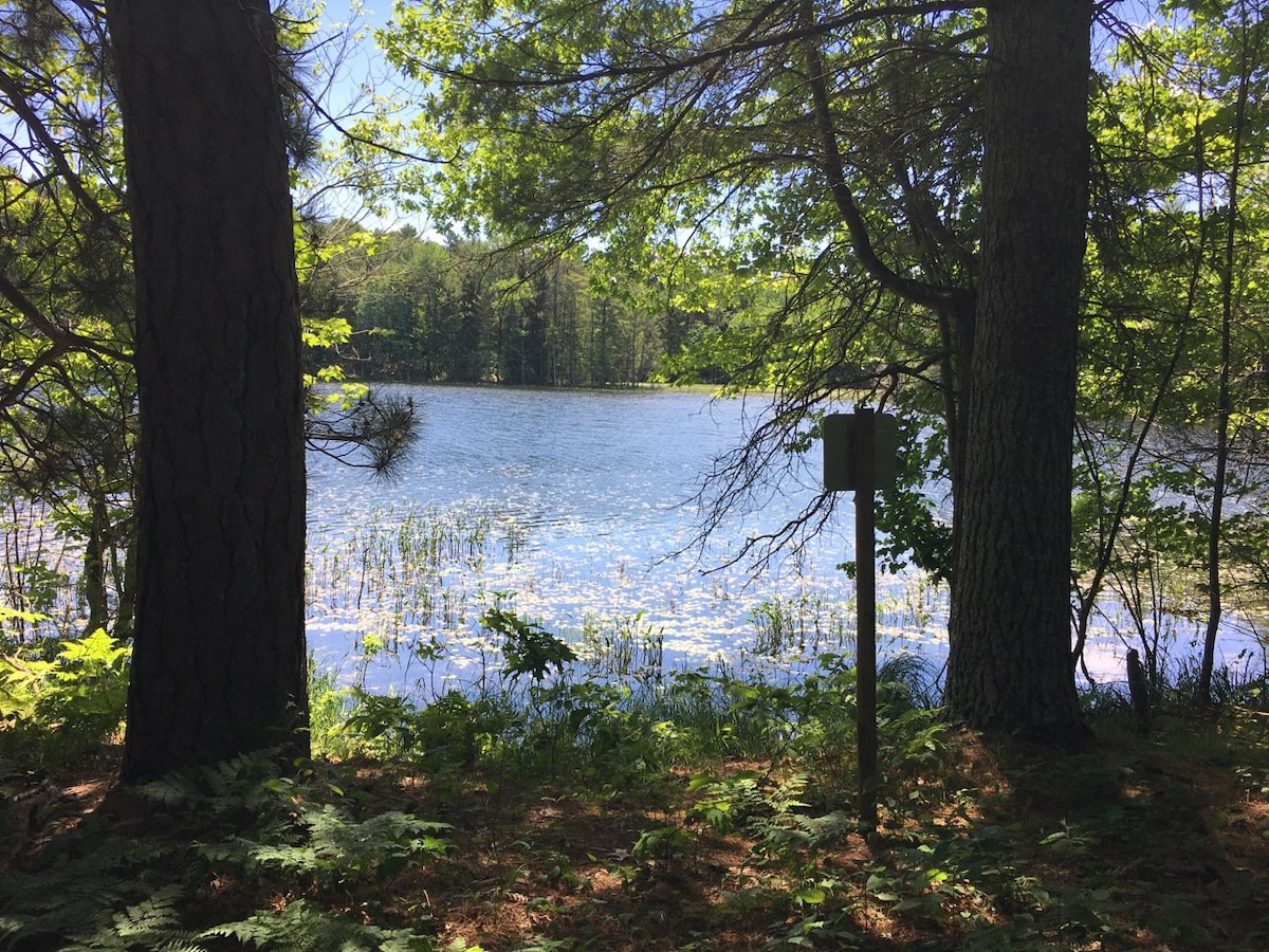 Burnett County Forest上的Banach Lake Campsite