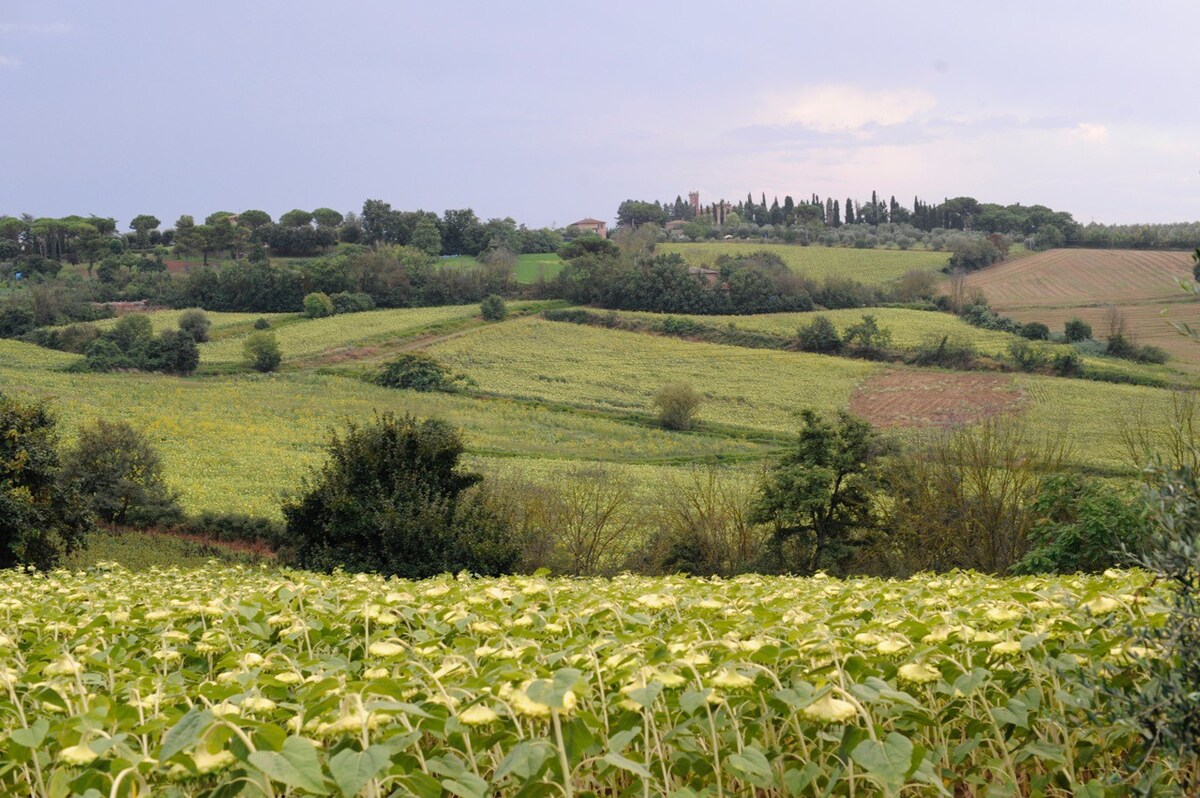 在Montepulciano乡村度农场假