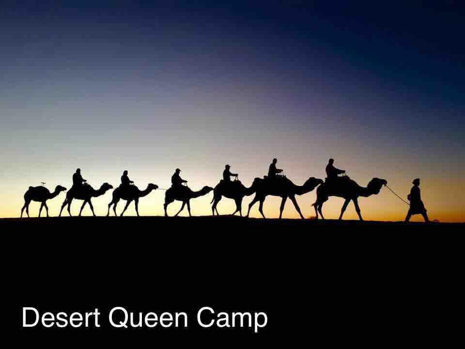 2023年沙漠骆驼徒步之旅（最佳优惠）