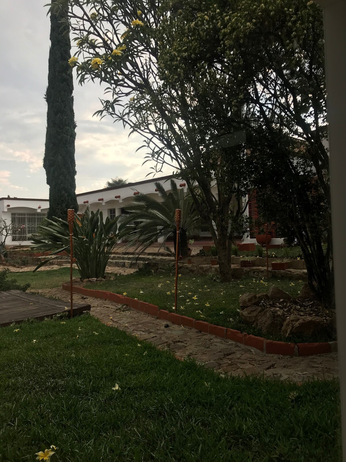 Xochimilcoco花园。