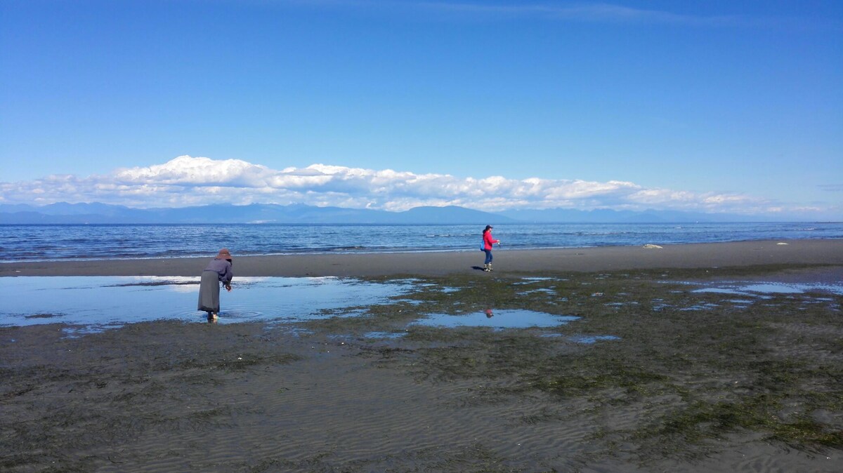 Nanaimo north oceanview home(北那耐磨海景之家)