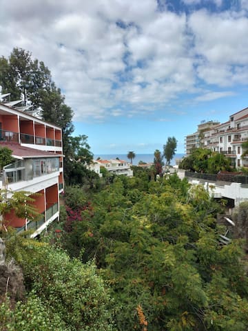 普伊托·德·拉·克鲁斯（Puerto de la Cruz）的民宿