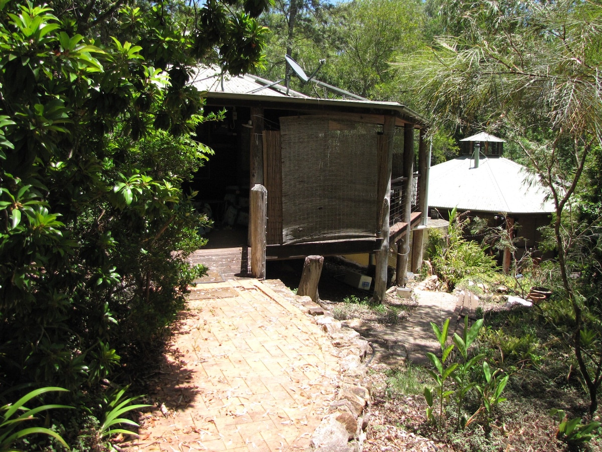 位于亚热带雨林的舒适小屋