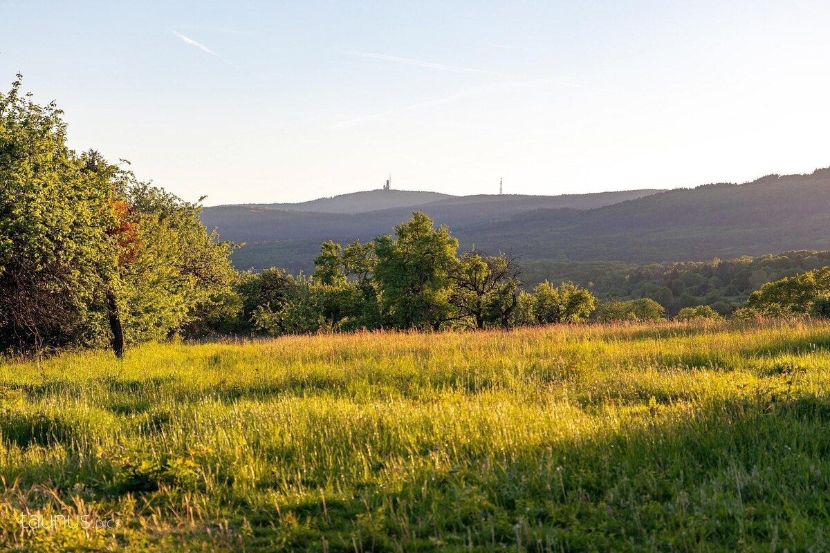 "Zum Feldberg"公寓