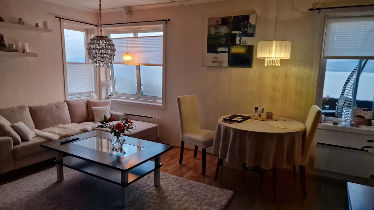 漂亮的公寓，靠近bodøsjøen。