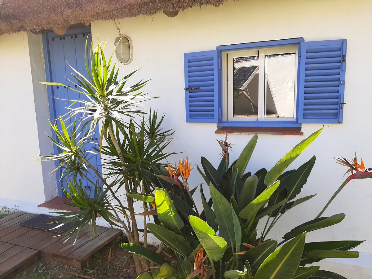 Alai, Exotic beach bungalow