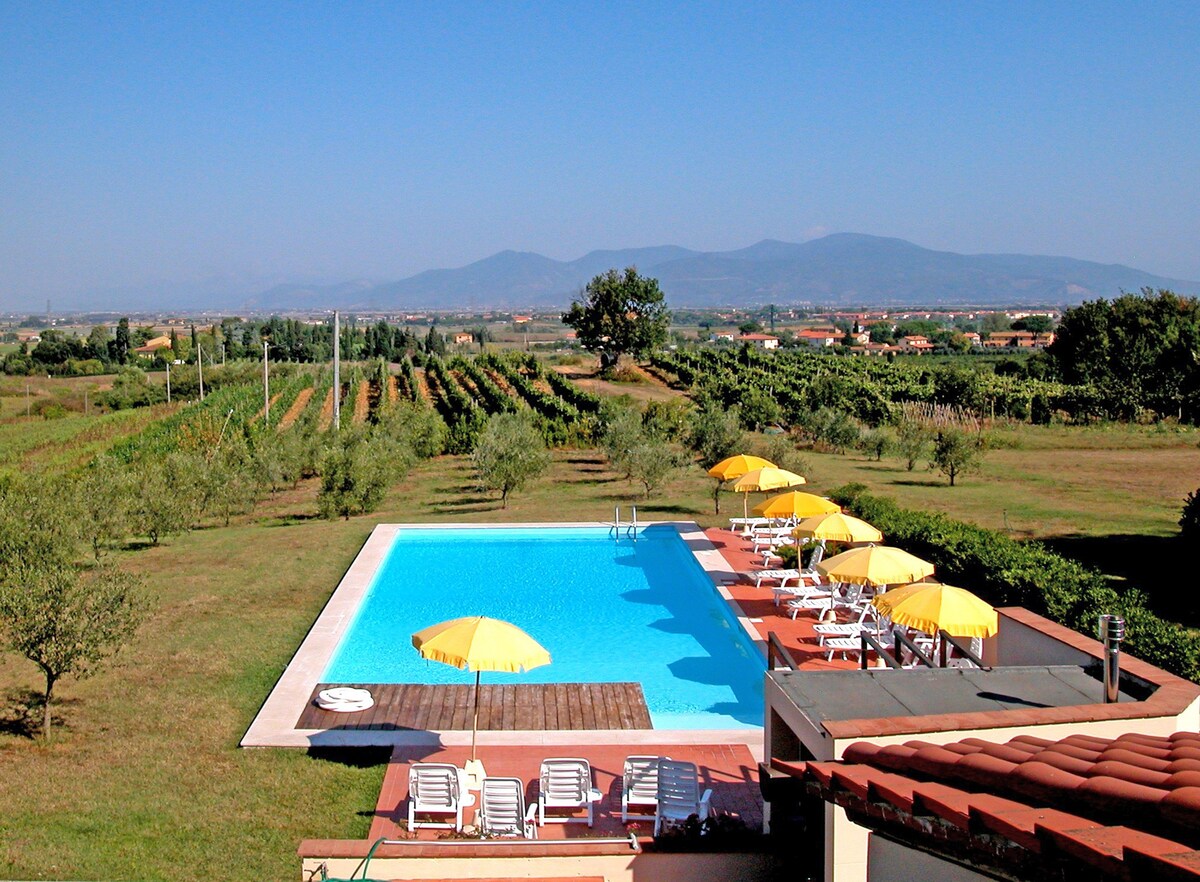Tuscany Pisa with Pool  full apartment