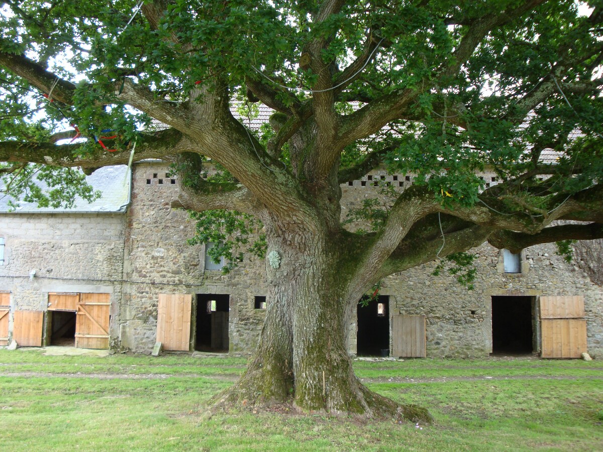 Beautiful Normandy Farmhouse (Blue) (for2)