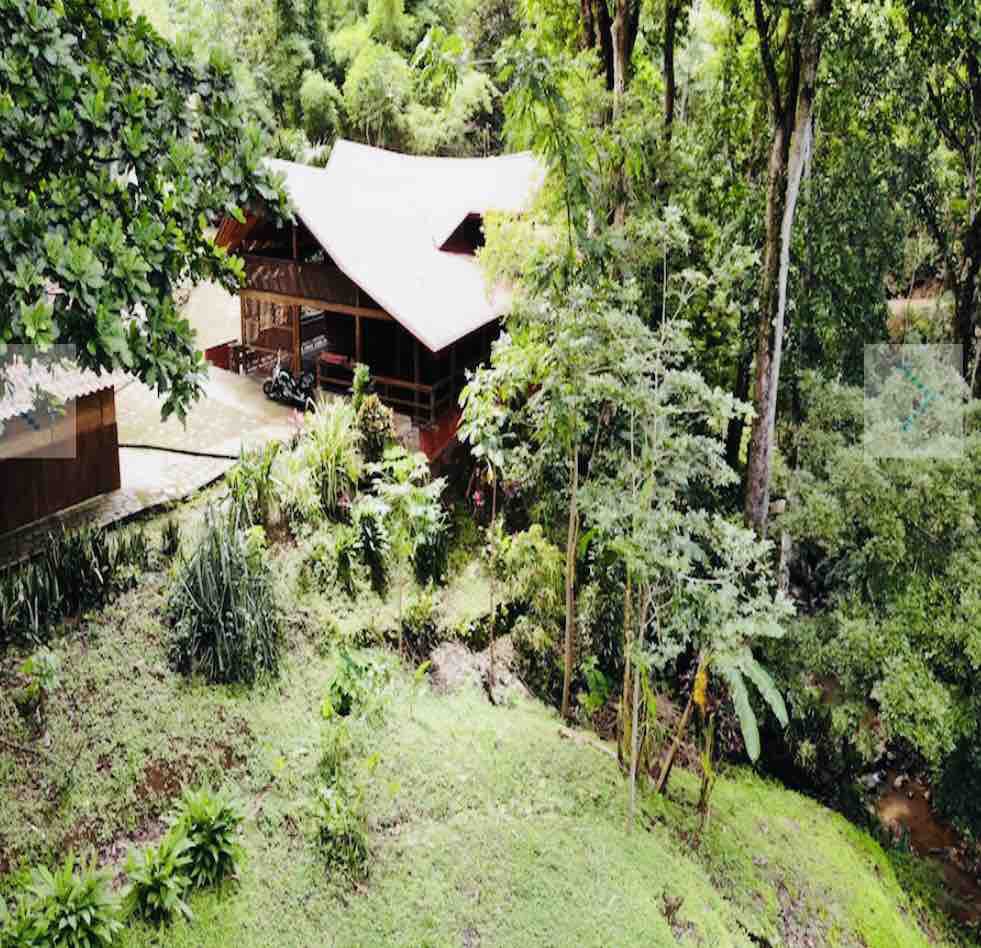 哥斯达黎加丛林木质豪华别墅