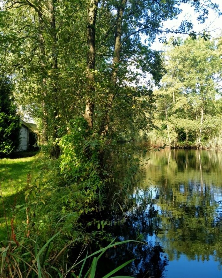 Natuurhuis Bouke met omheinde tuin