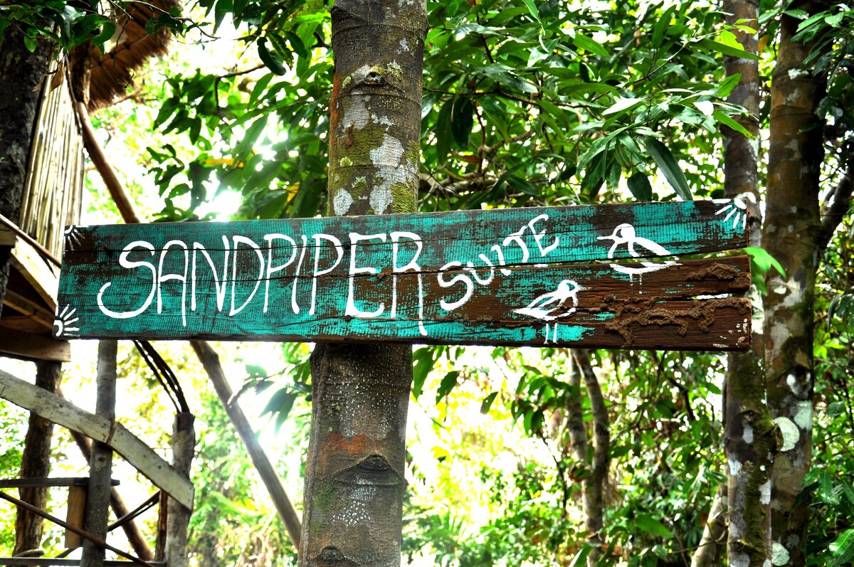 Sandpiper VIP套房