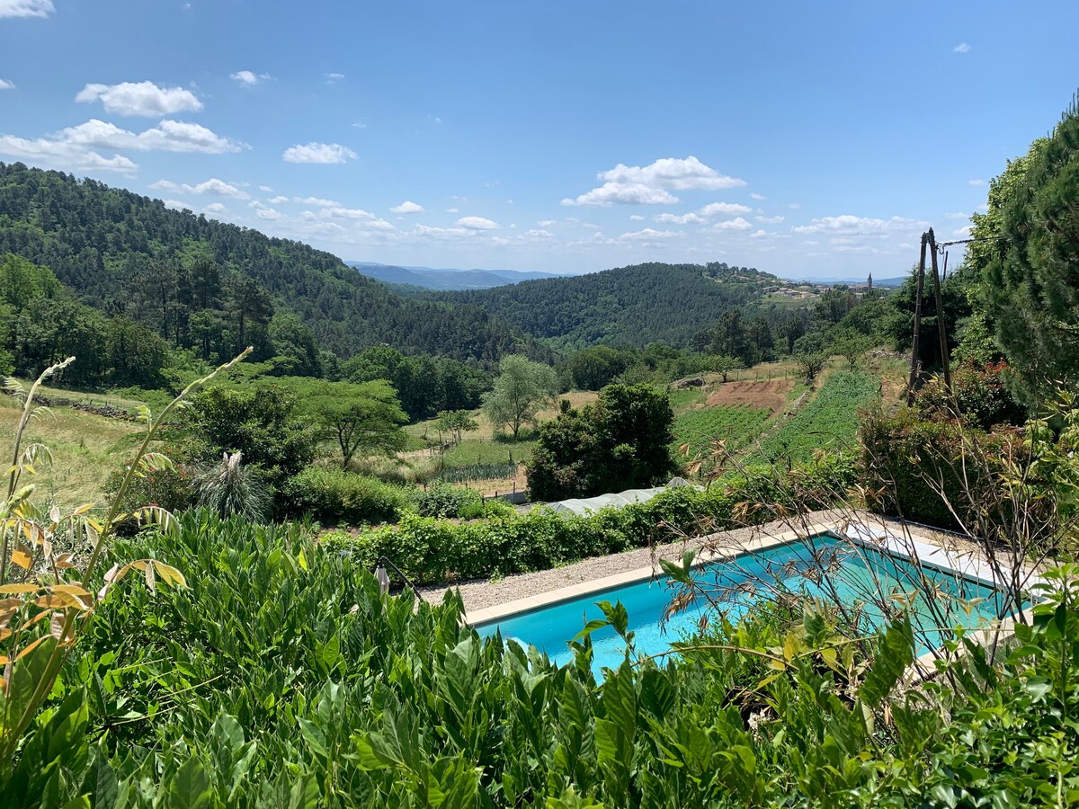 Mas de la Vigne, Charming renovated farm with pool