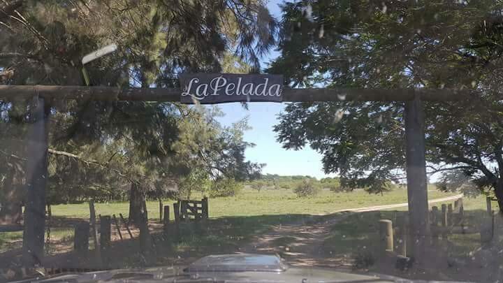 Estancia La pelada