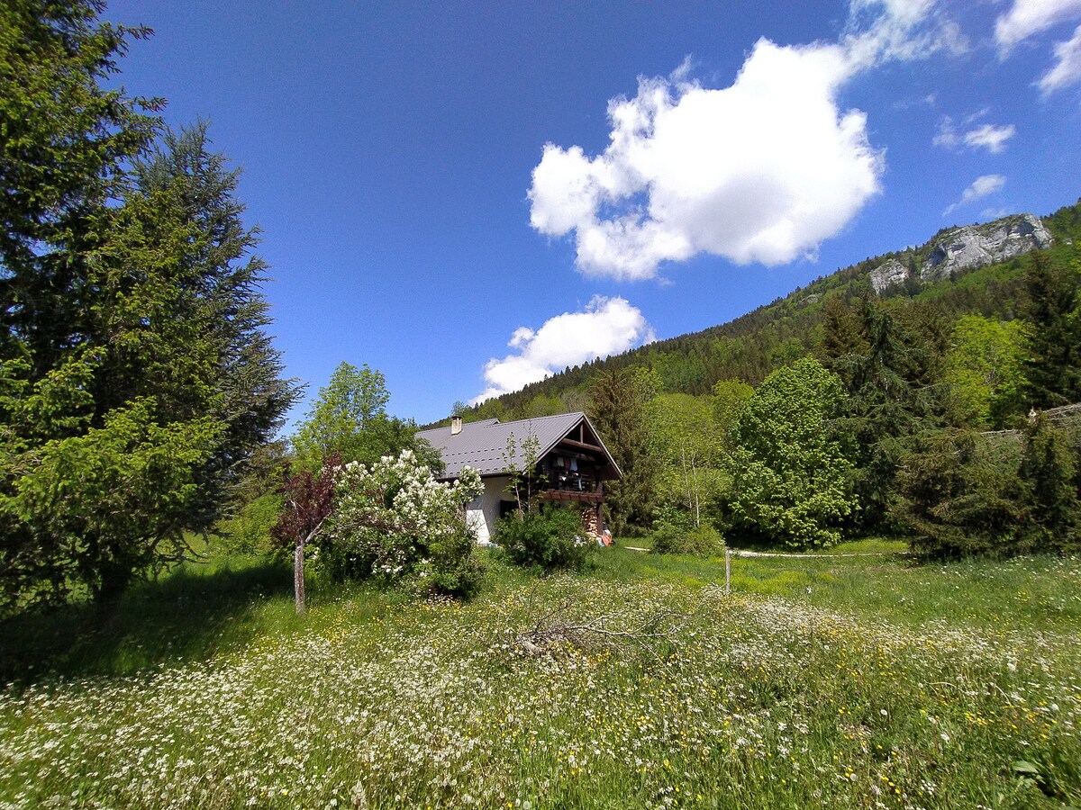 Chambre bleu nature Vercors