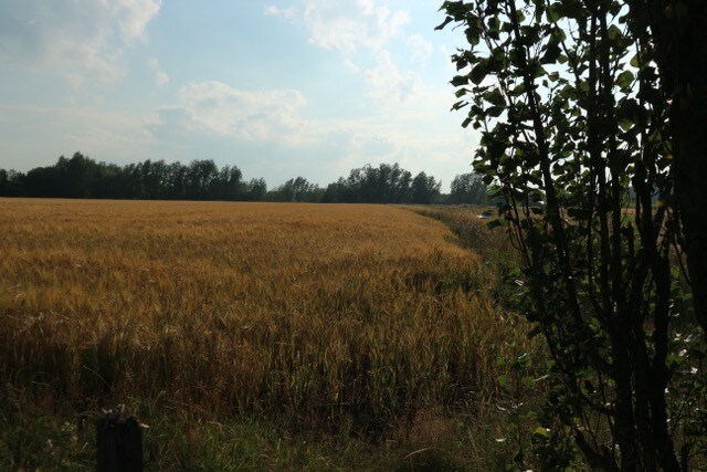 Safaritent Buitenleven  in Gelderland