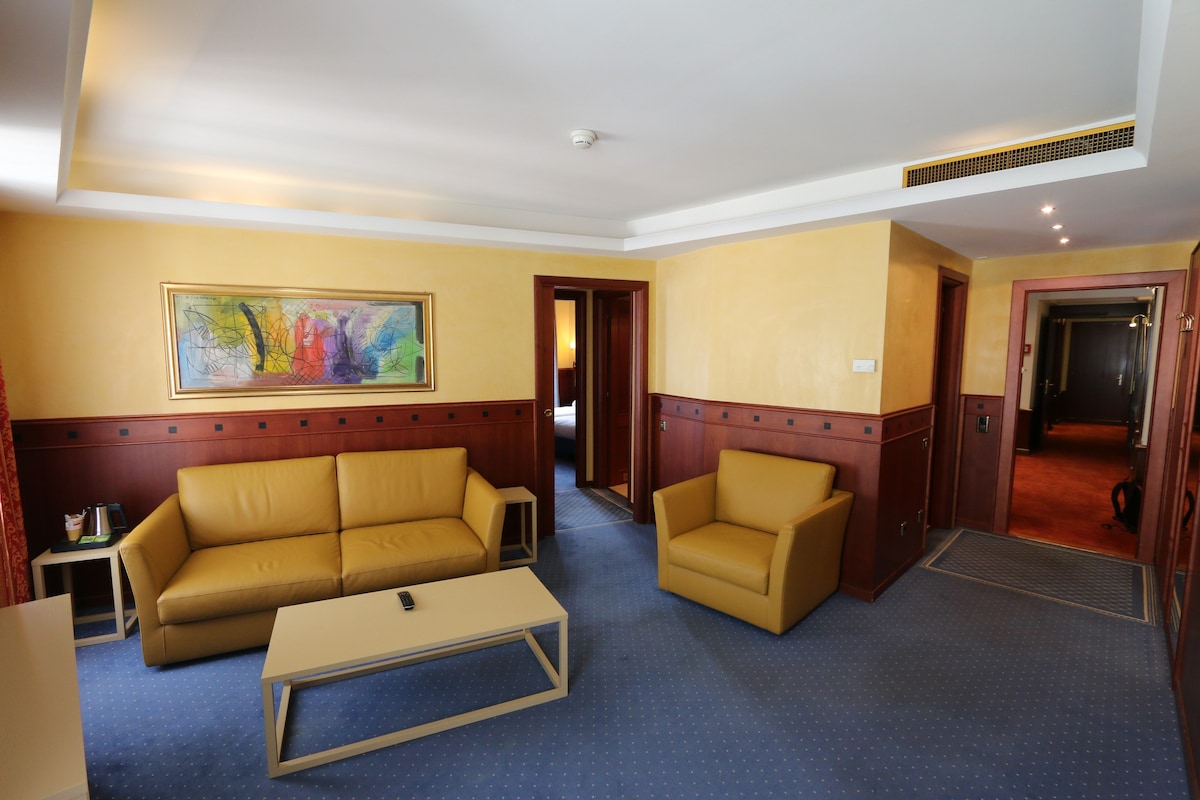 Appartement N ° 501 Hôtel Strasbourg Hotel 3 *