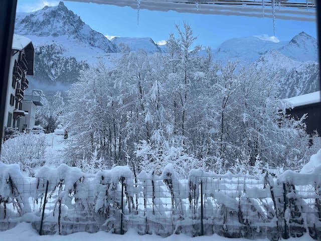 夏蒙尼(Chamonix-Mont-Blanc)的民宿