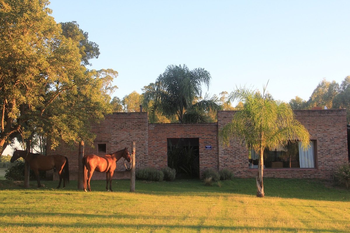 FarmHouse「El Pedregal」乌拉圭