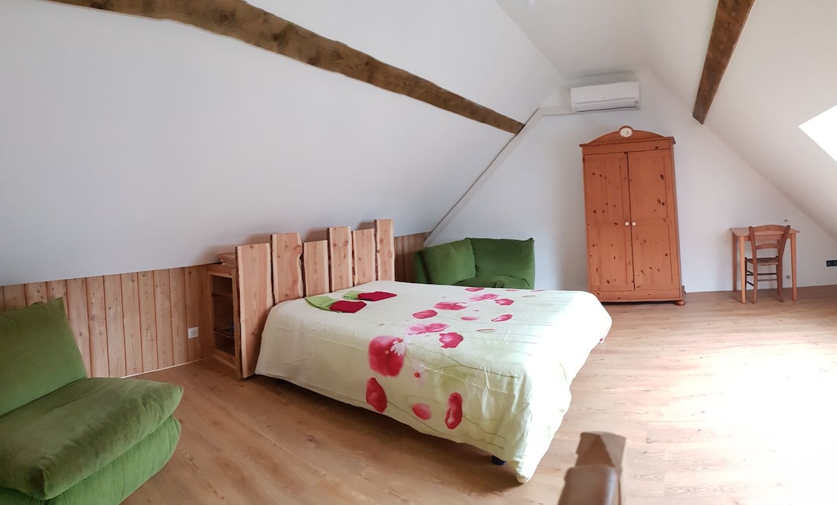 Appartement agréable avec jardin et grande chambre