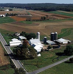 Neffdale Farm Bed & Breakfast