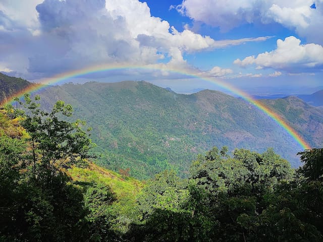 科代卡纳尔(Kodaikanal)的民宿