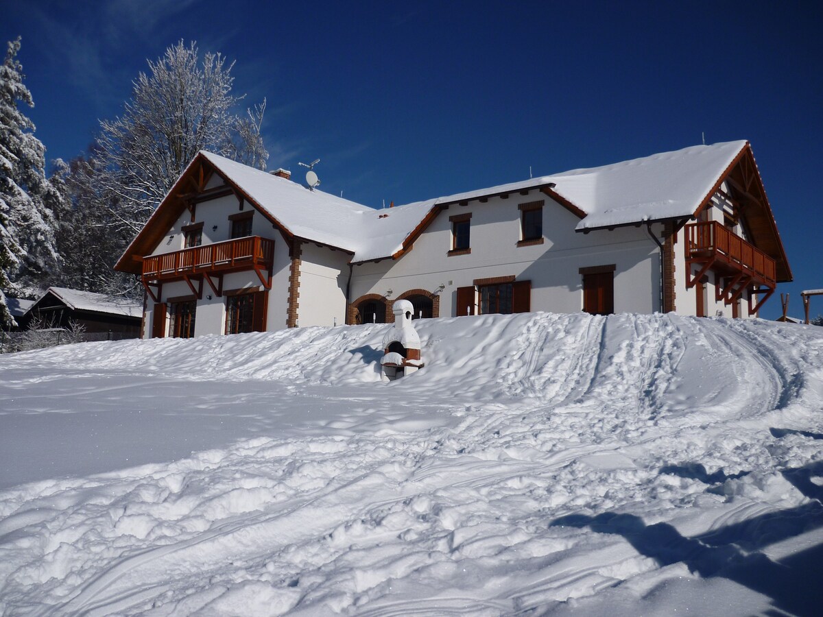 维多利亚别墅（ Villa Victoria ） ，靠近利普诺湖（ Lipno lake ）和滑雪场利普诺（ Lipno
