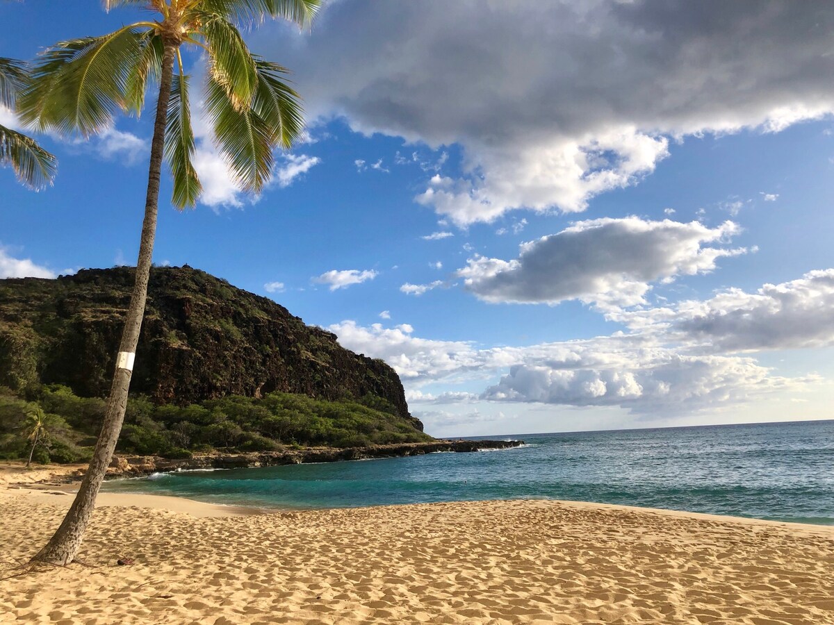 Aloha Beach Paradise