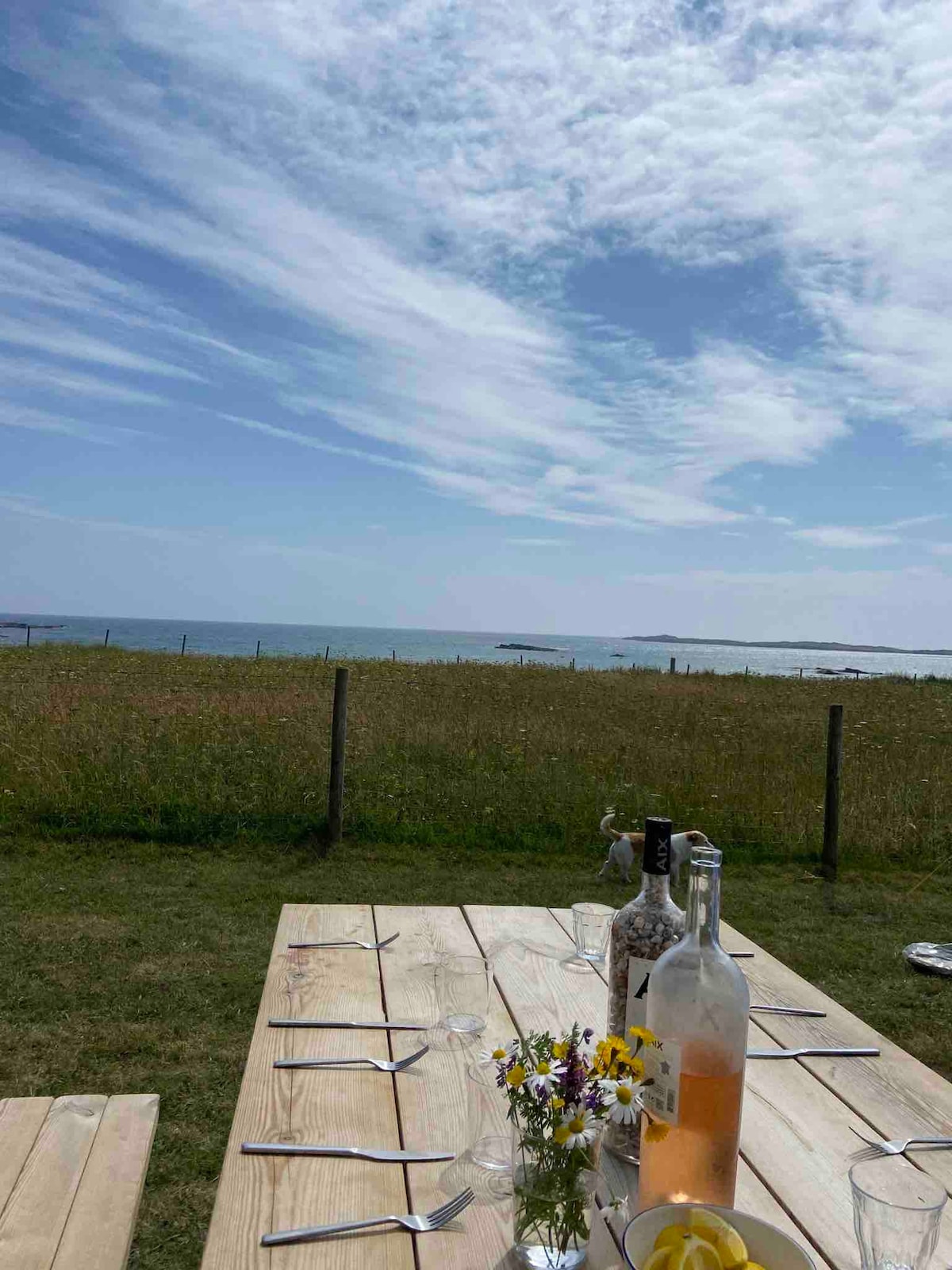 Sanderling Beach House Tiree