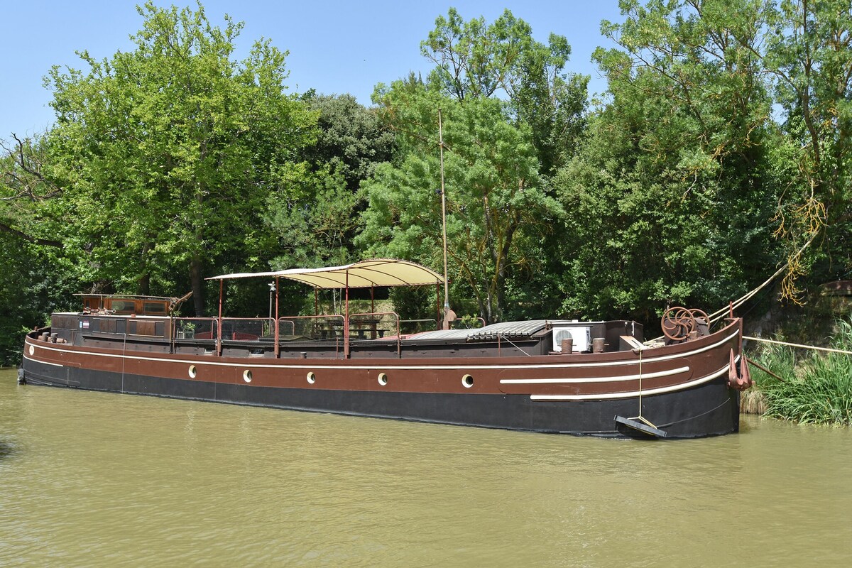 Charming boat in Villedubert with terrace