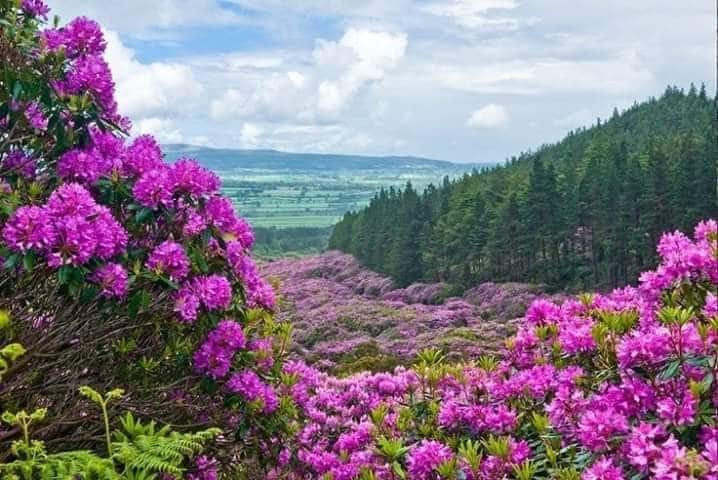 山景。The Vee, Tipperary