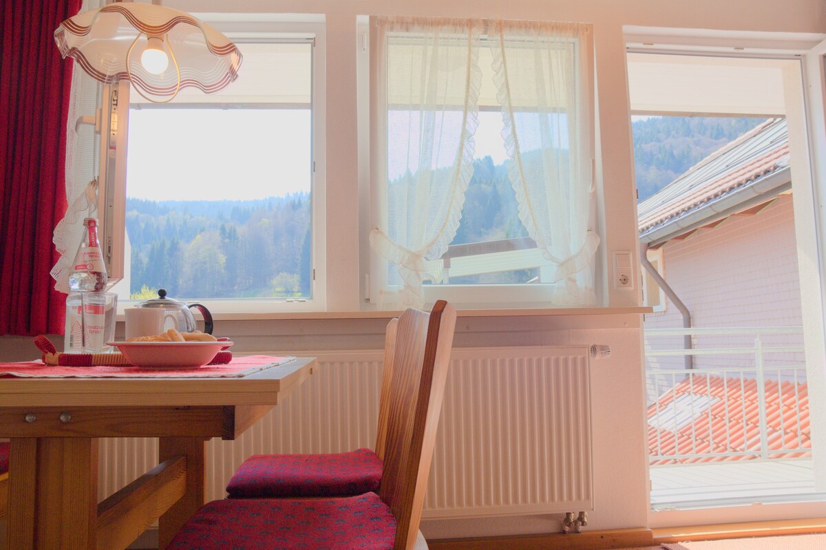 Bergfreude Todtnau公寓-黑森林风格的舒适公寓，带私人阳台和山景
