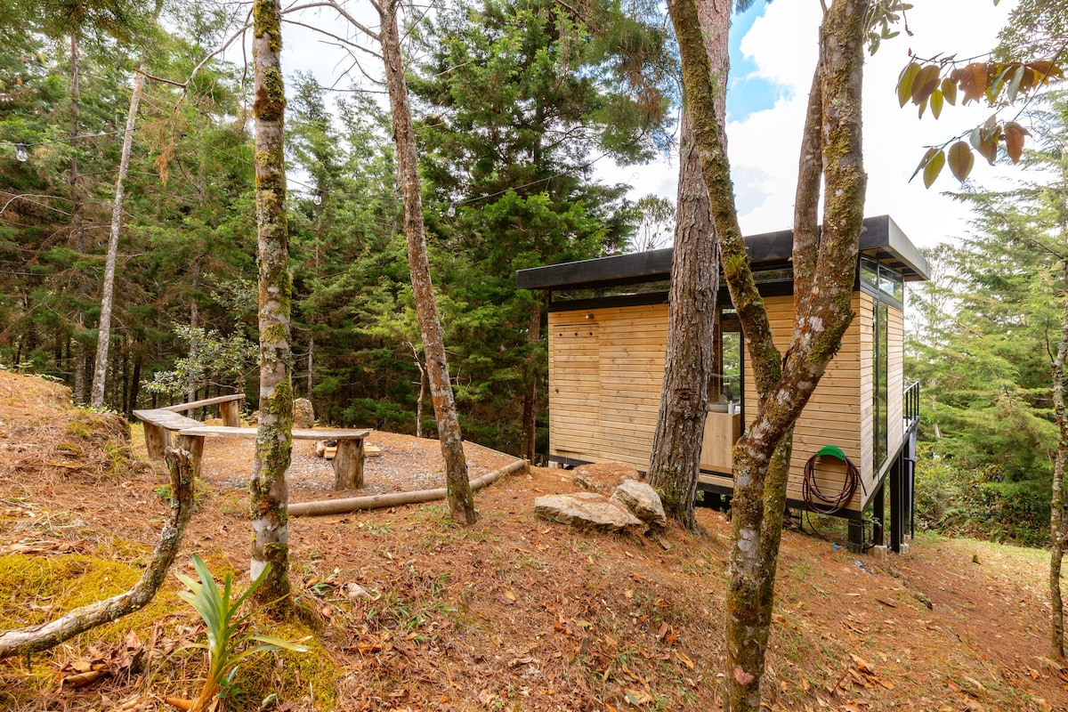 PR4 PinesRetreat Albar ：森林中的微型住宅
