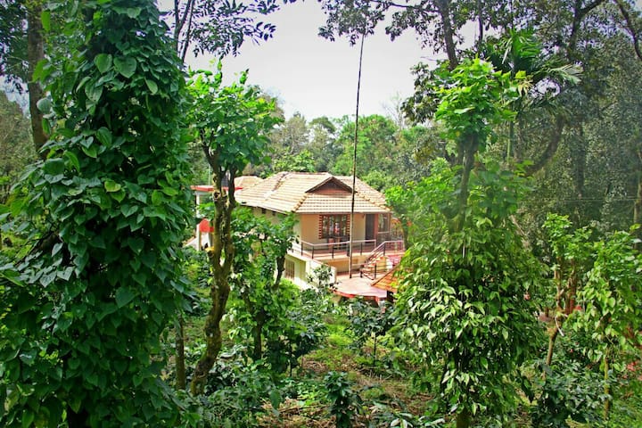 马蒂科里(Madikeri)的民宿