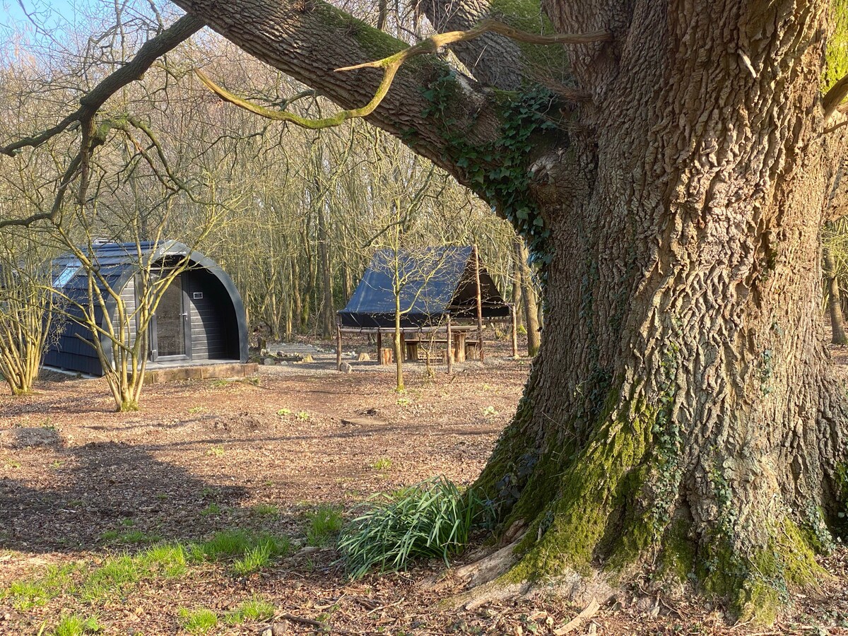 坐落在南唐斯（ South Downs ）树林中的豪华露台上。