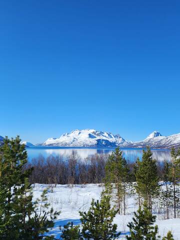 Troms og Finnmark fylke的民宿