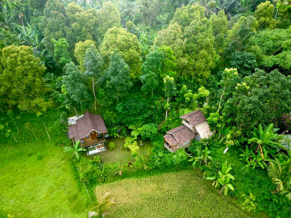 Jungle inn tetebatu 2