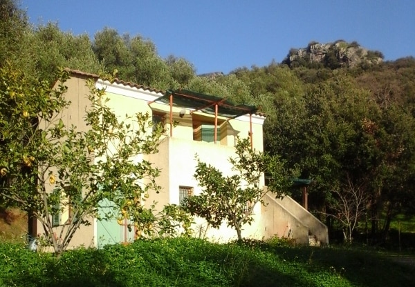 A CASA DI L'ALIVU - Chambre LIMONE